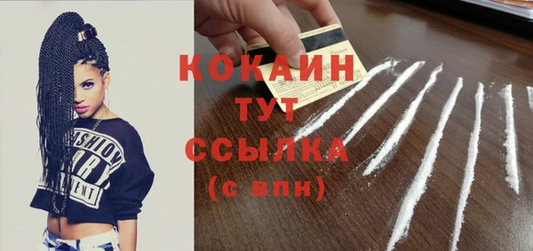 mdpv Бородино