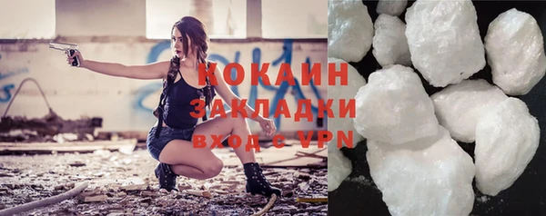 индика Осинники