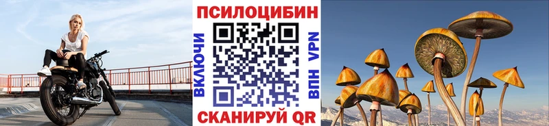 Псилоцибиновые грибы Psilocybe  Дюртюли 